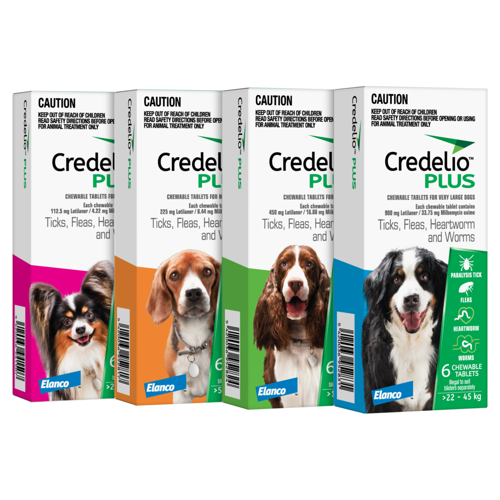 Credelio Plus