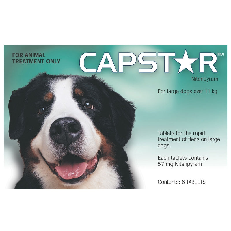 Capstar Large Dog 6pk â PETQuarters