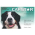 Capstar Large Dog 6pk