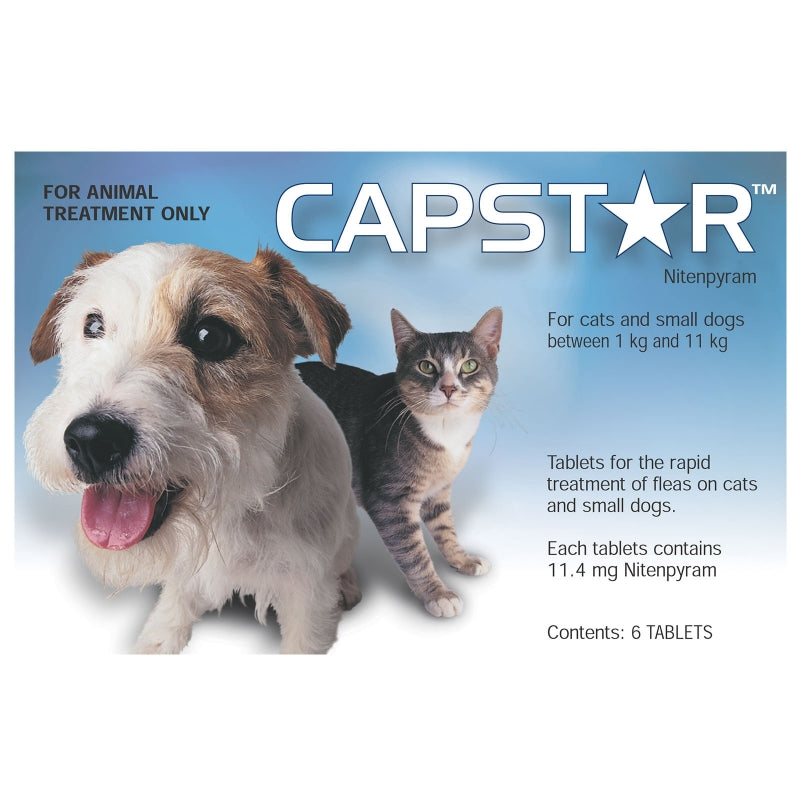Capstar Small Dog 6pk