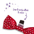 Christmas Bow Ties - Red - Small