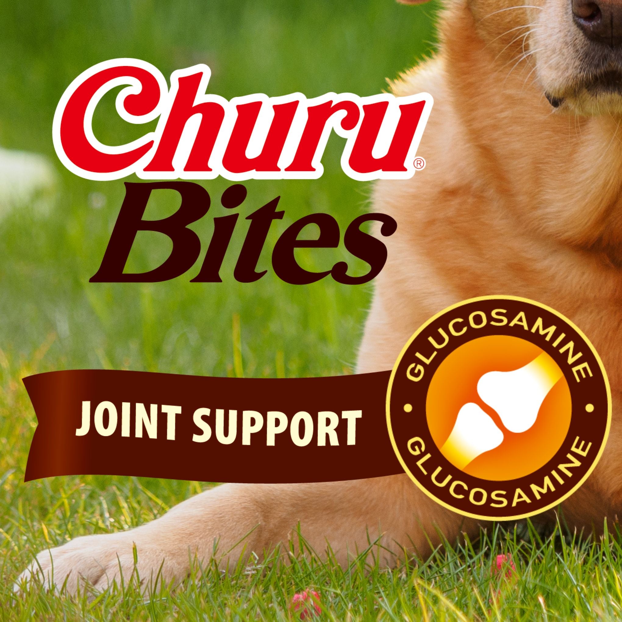 INABA Dog Churu Bites Joint Support Chicken Cheese 30g