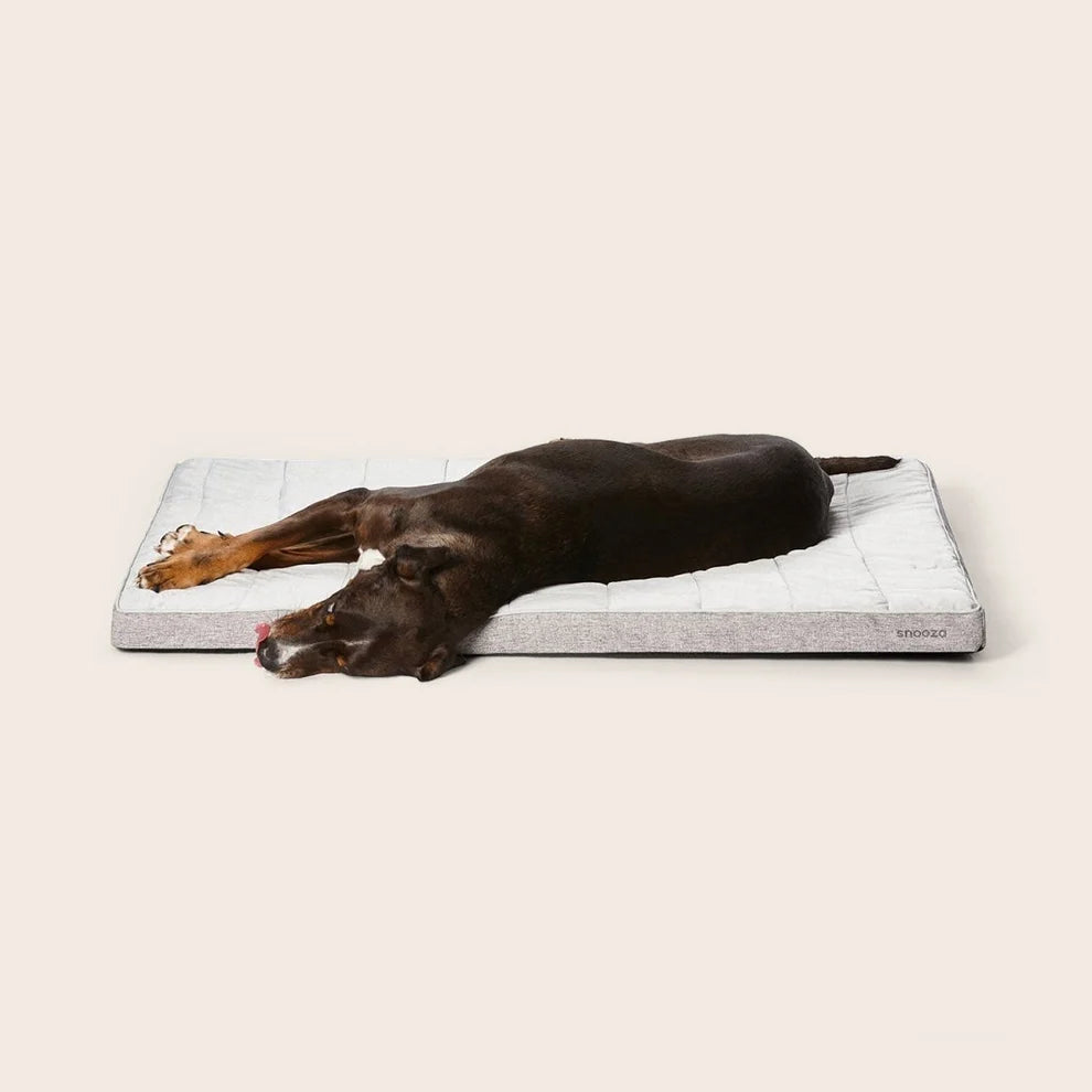Cooling Comfort Orthobed Powder Grey M