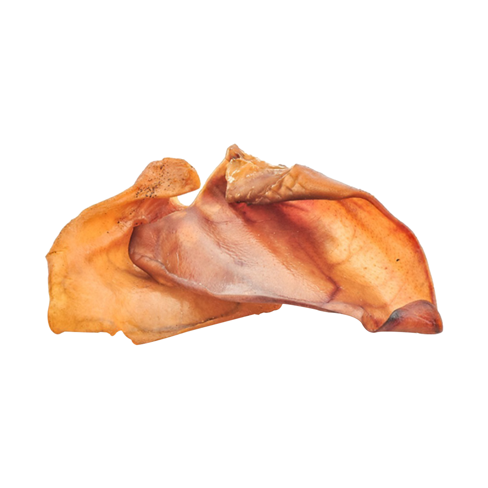Pooch Treat Pig Ear Single