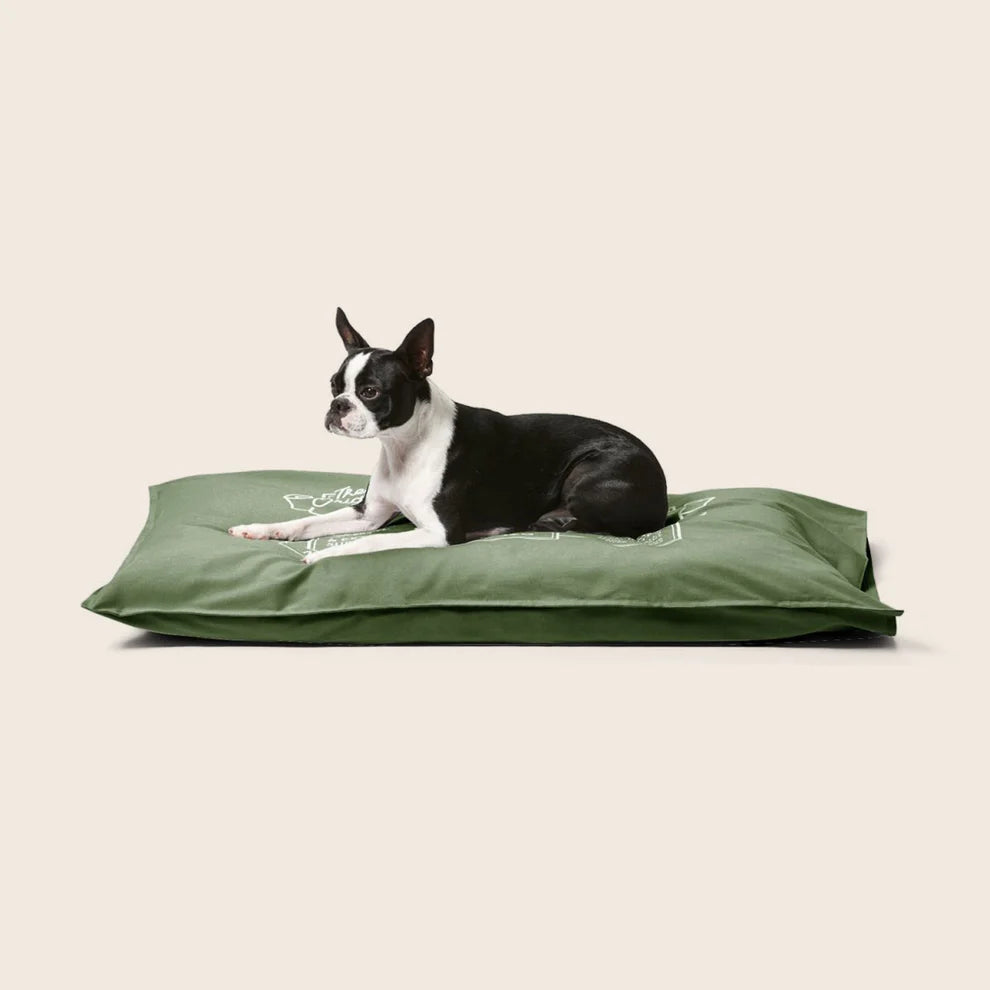 Cotton Canvas Futon Fern Original