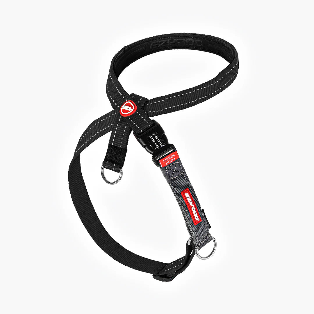 Ezydog Harness Cc