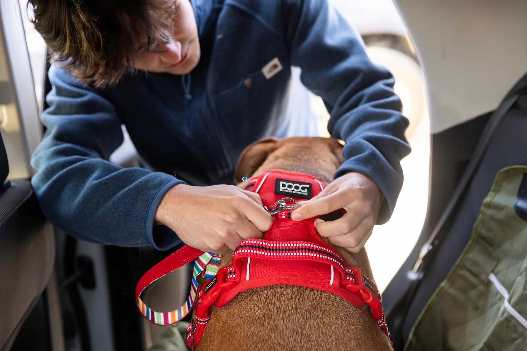 DOOG Neotech Harness Red