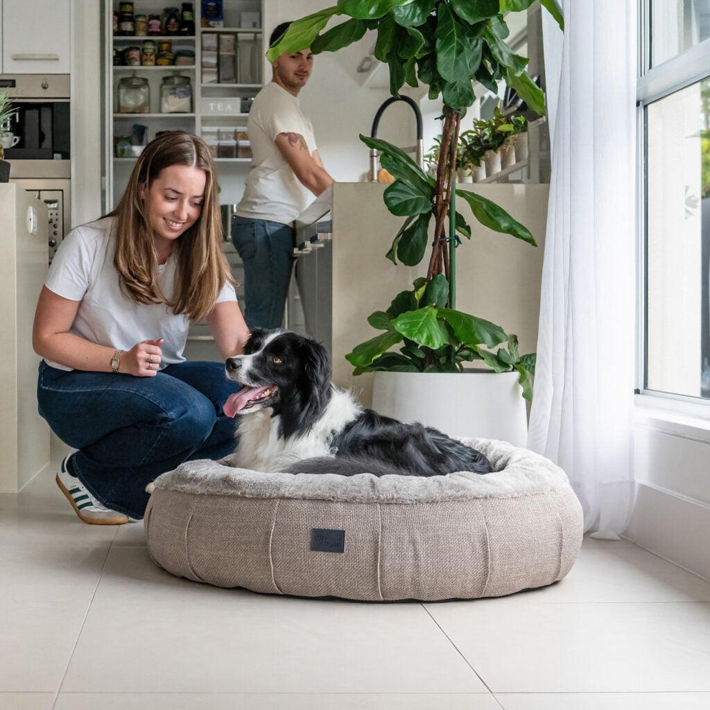 Dog Bed Harley Brown Leather Rab Fur