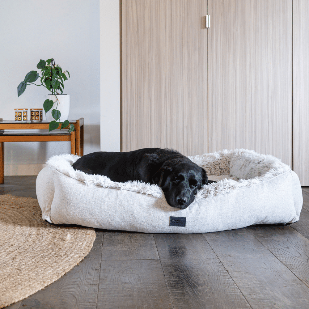 Dog Lounger Ortho Aspen Faux Fur Small