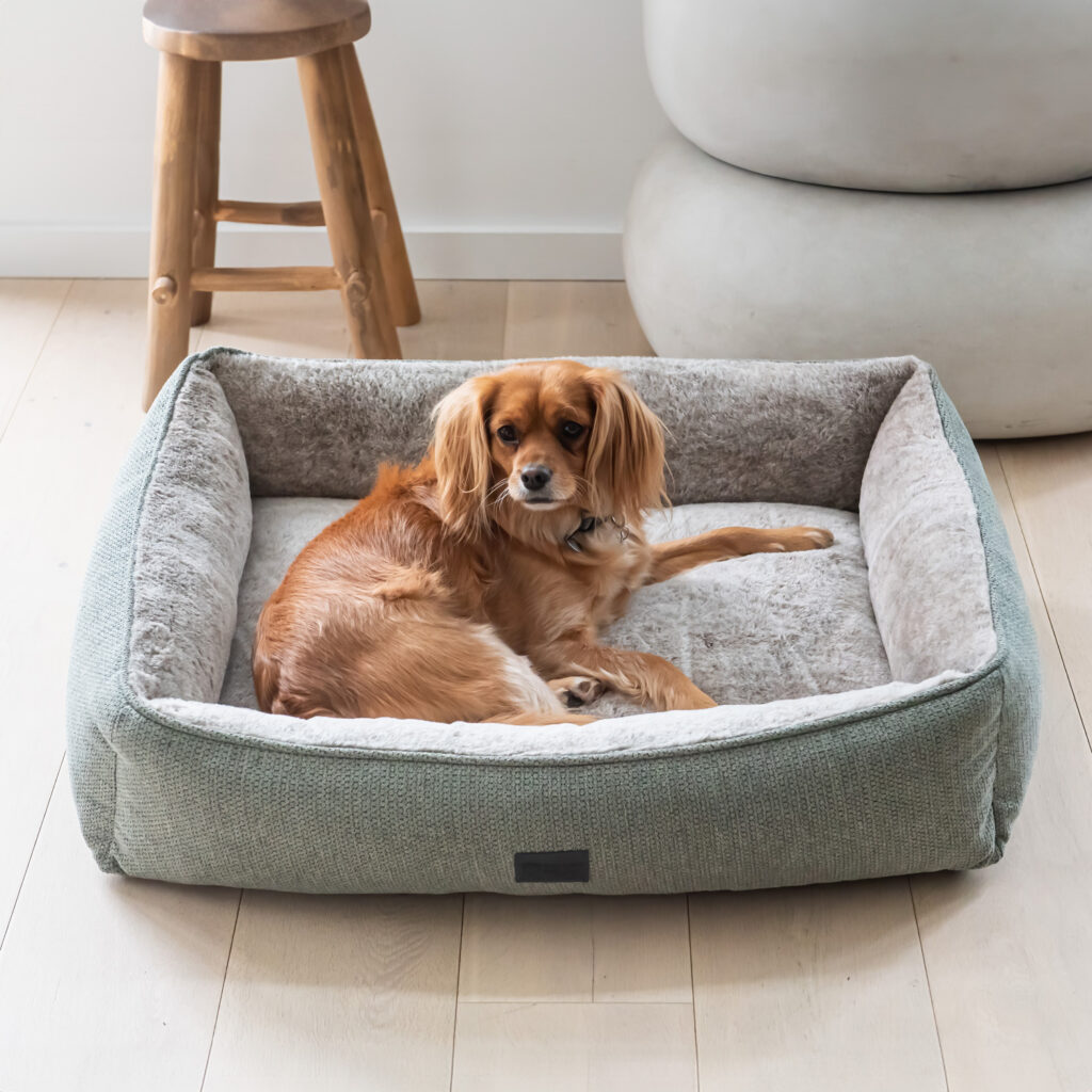 Dog Lounger Sage Small