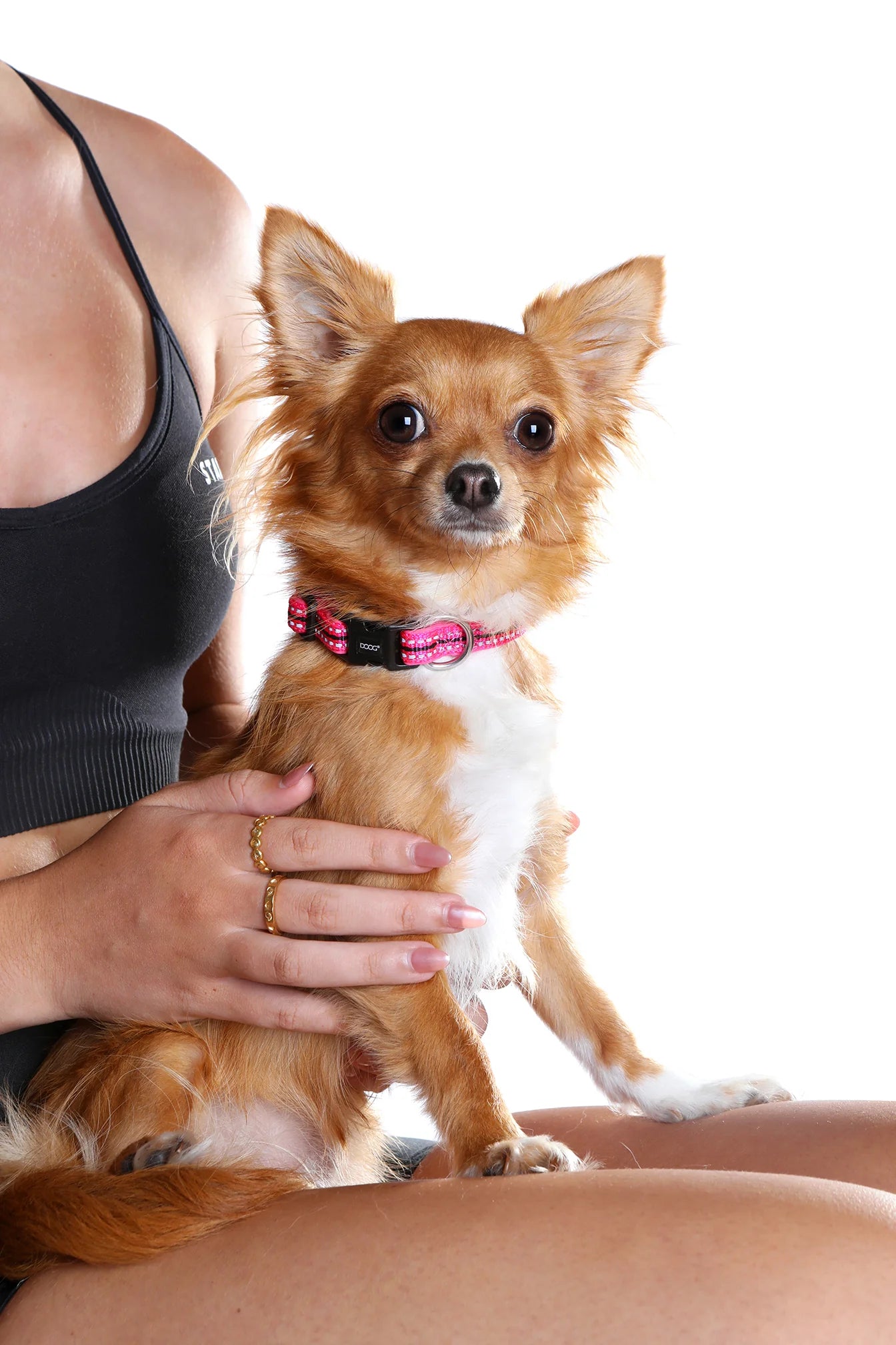 Doog Collar Lady