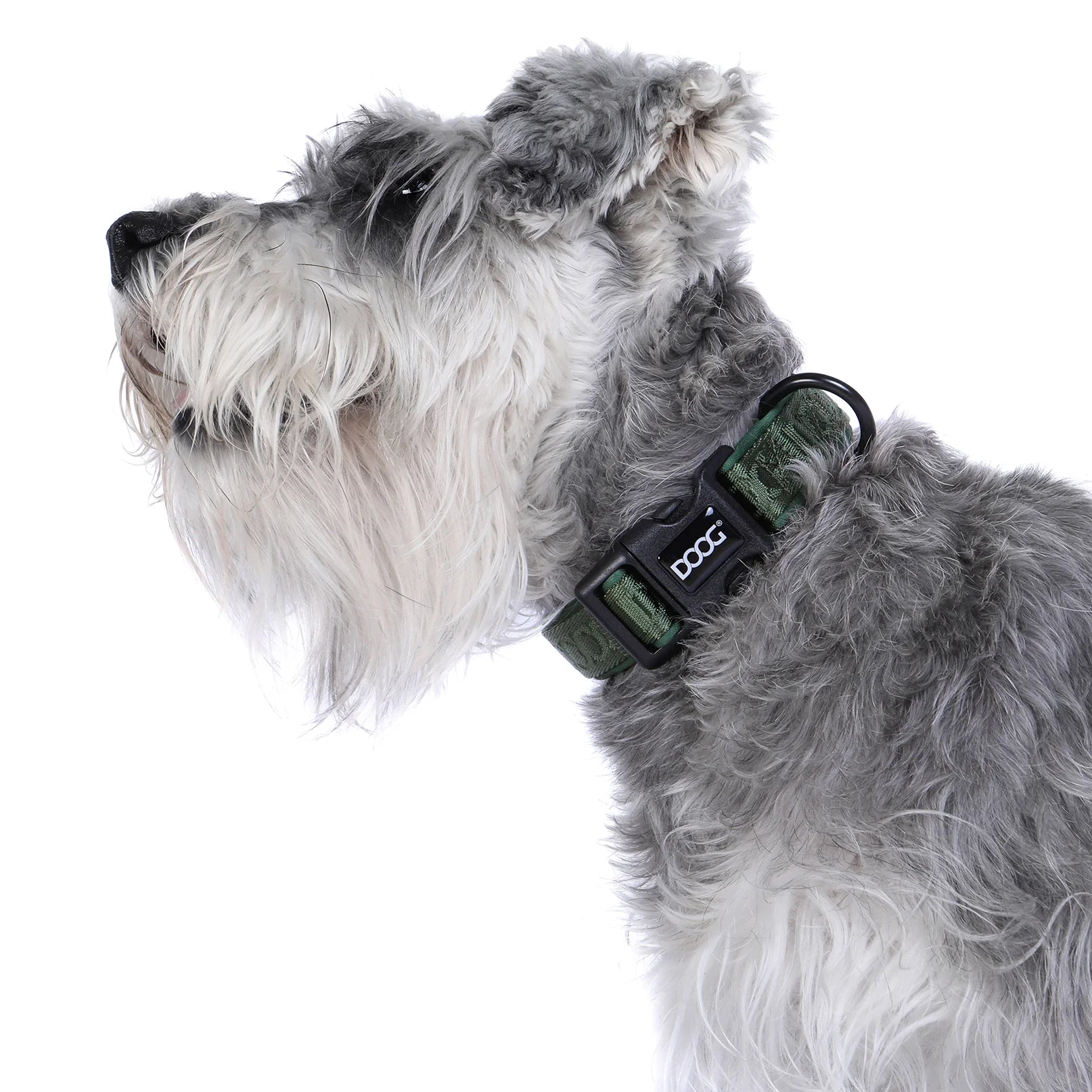 Doog Collar Neosport Green