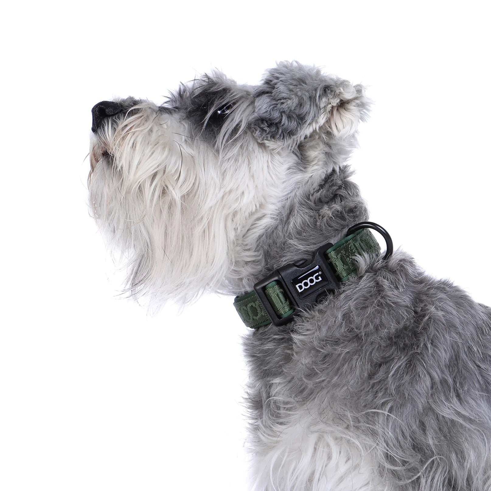 Doog Collar Neosport Green