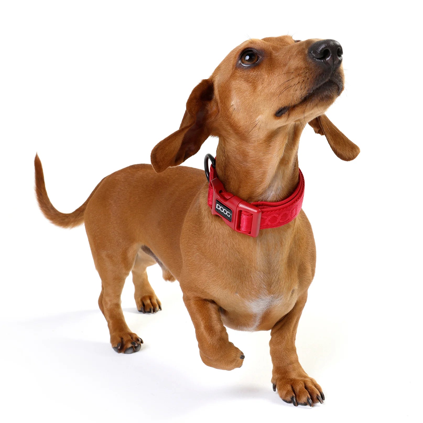 Doog Collar Neosport Red