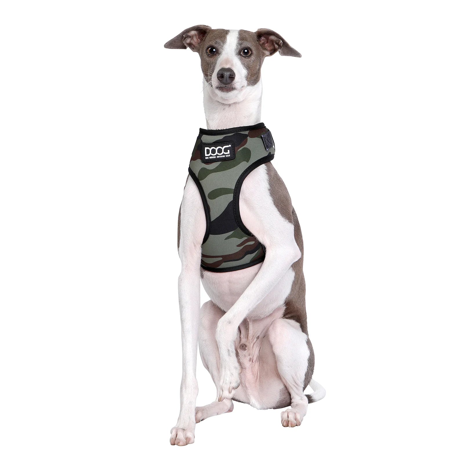 Doog Harness Neoflex Bruiser