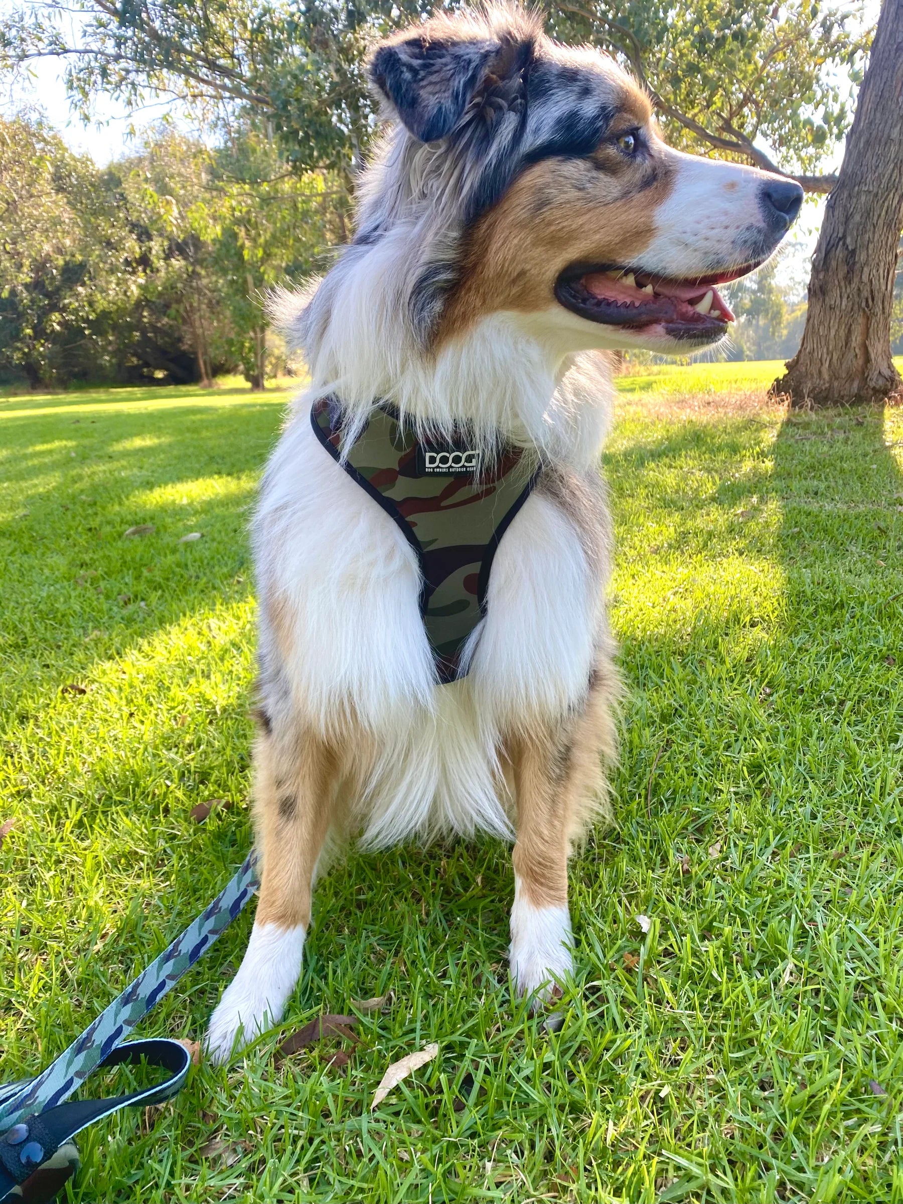 Doog Harness Neoflex Bruiser