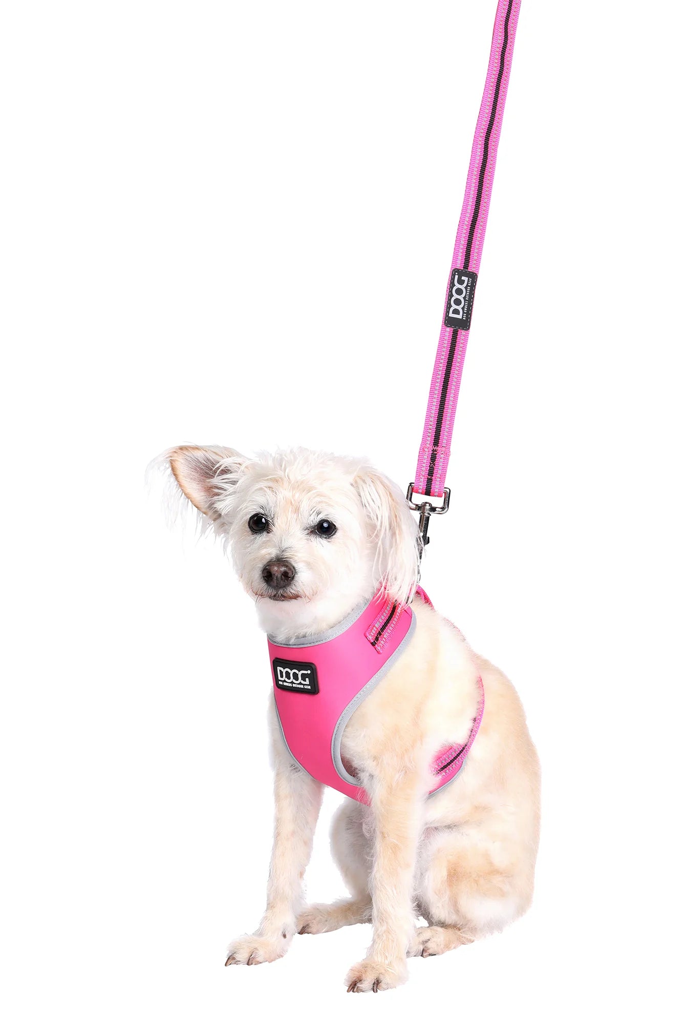 Doog Harness Neoflex Lady Small