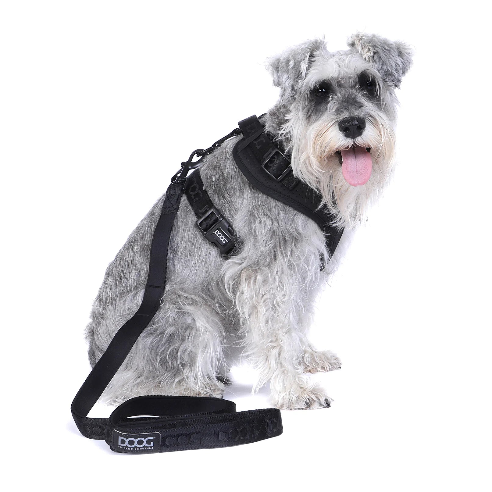 Doog Harness Neosport Black Large