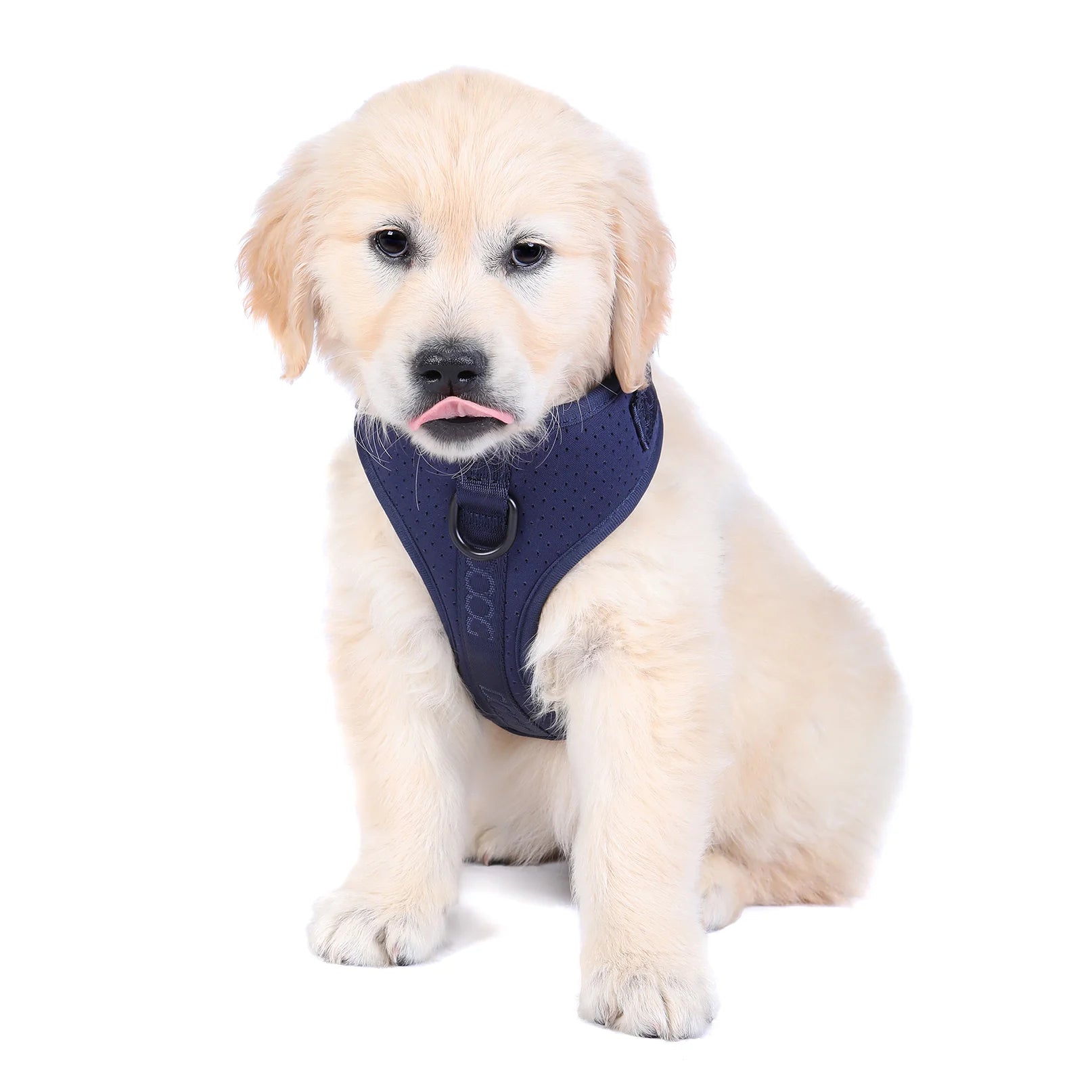 Doog Harness Neosport Navy Large