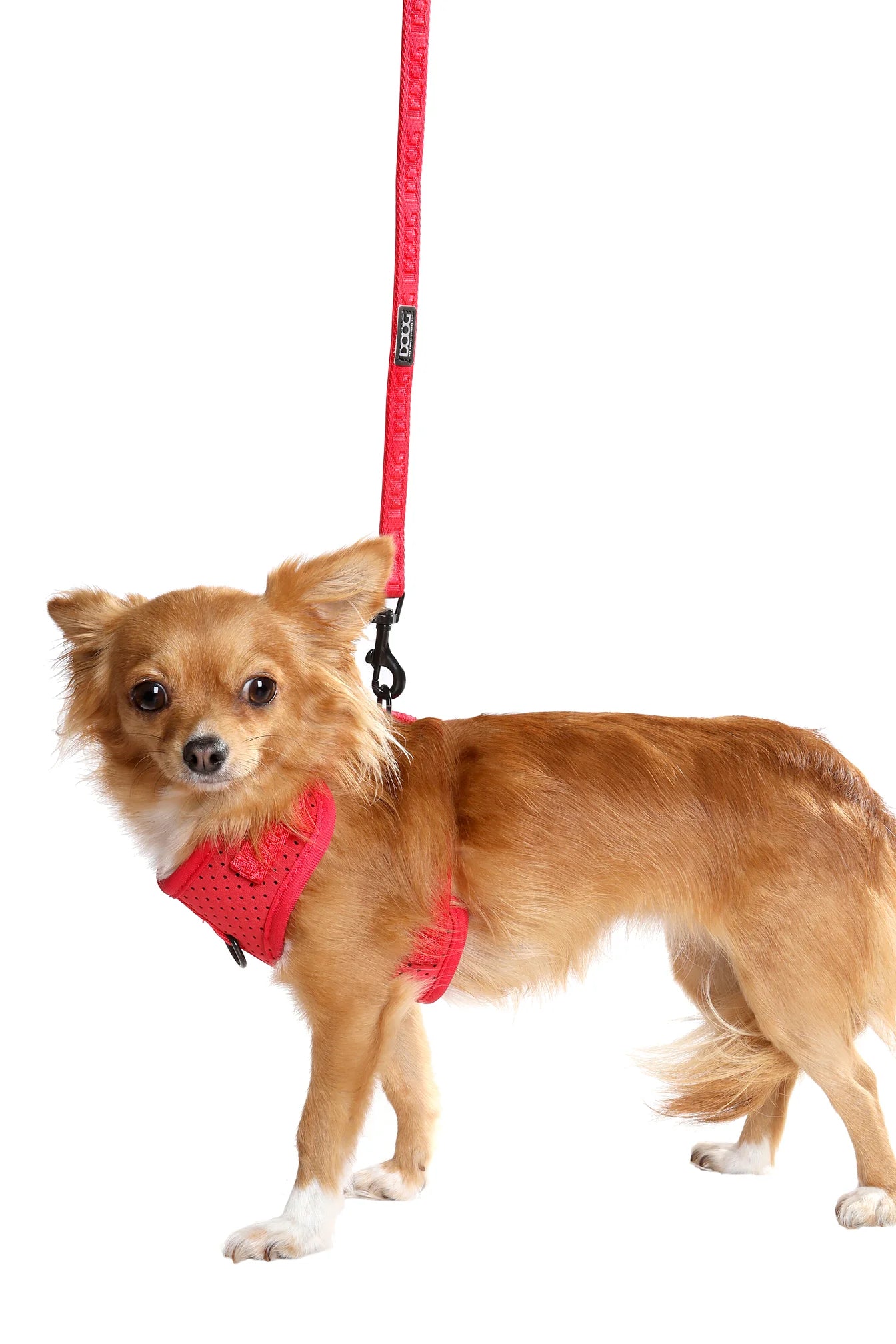 Doog Harness Neosport Red Small