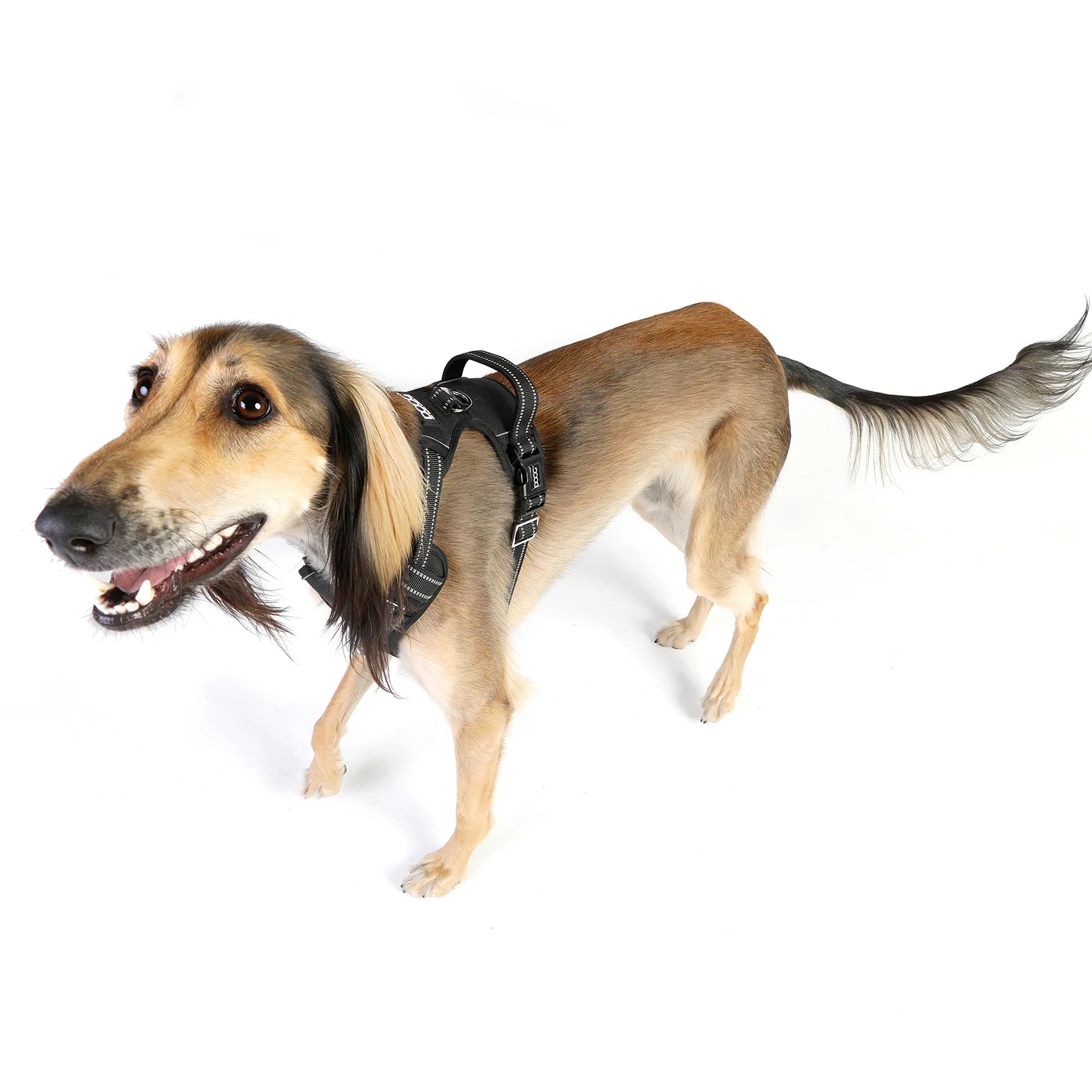 Doog Harness Neotech Black Small