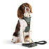 Doog Harness Neotech Green XL