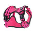 Doog Harness Neotech Lady Large
