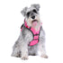 Doog Harness Neotech Lady Large
