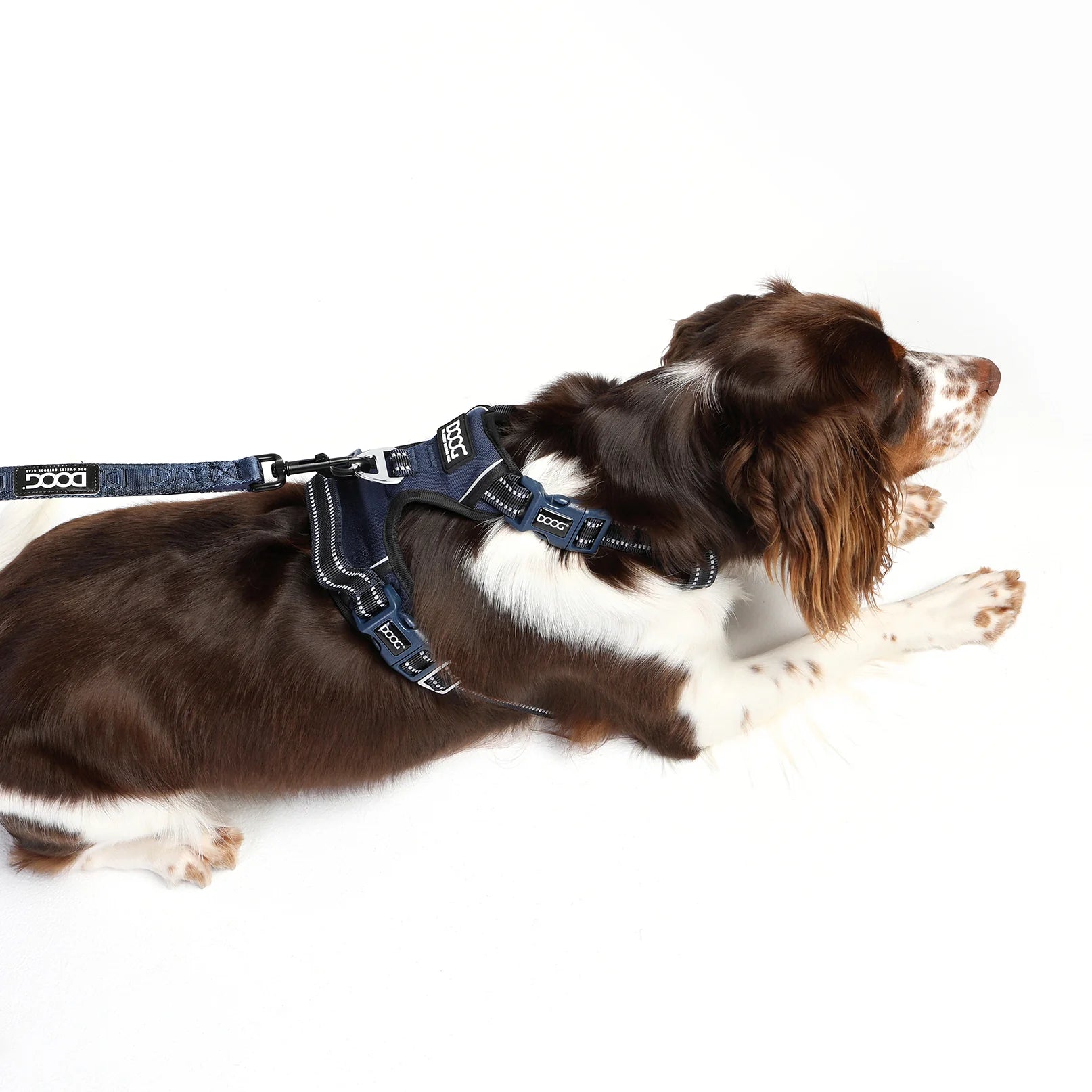 Doog Harness Neotech Navy Medium