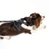 Doog Harness Neotech Navy Large