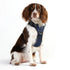 Doog Harness Neotech Navy Large
