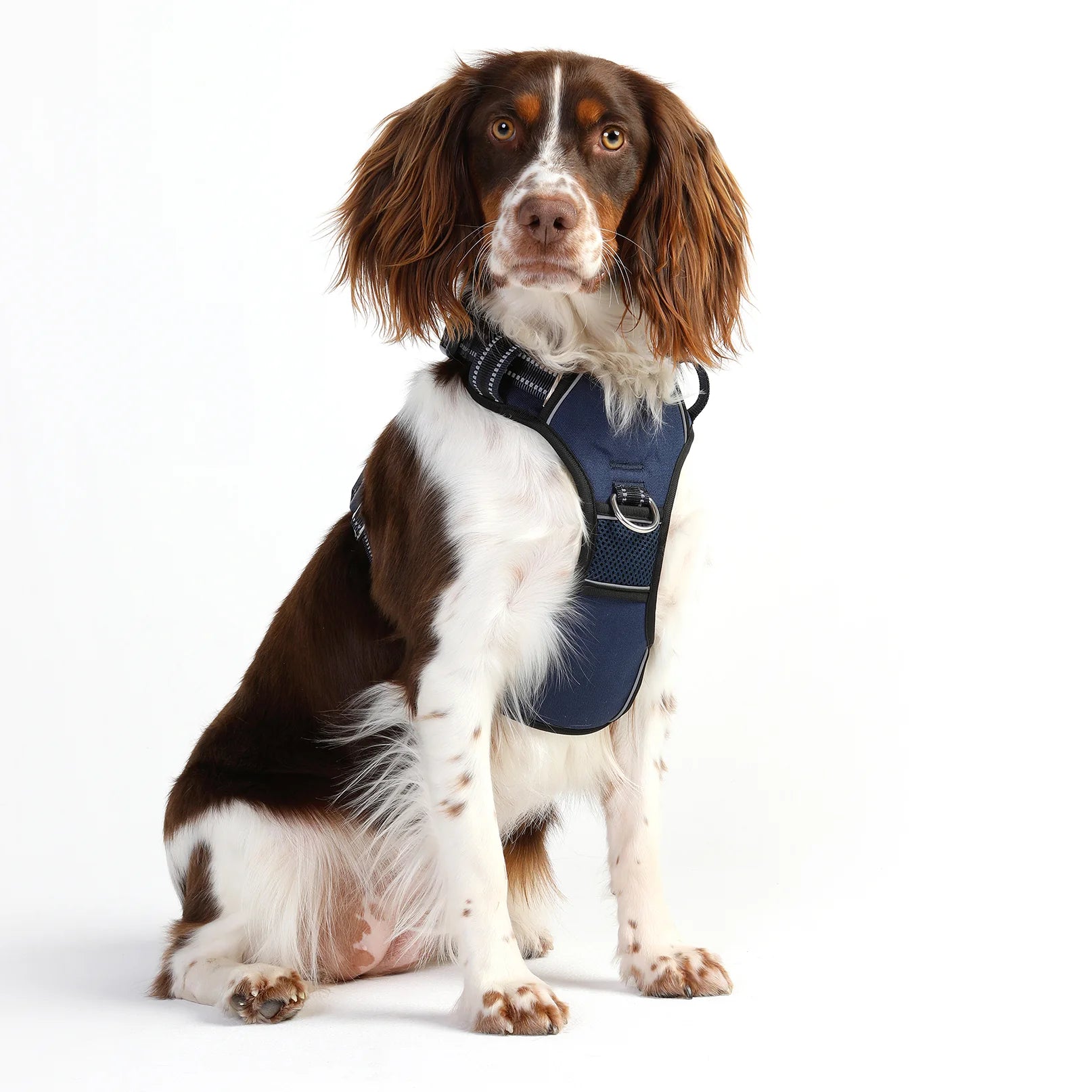 Doog Harness Neotech Navy Extra Large