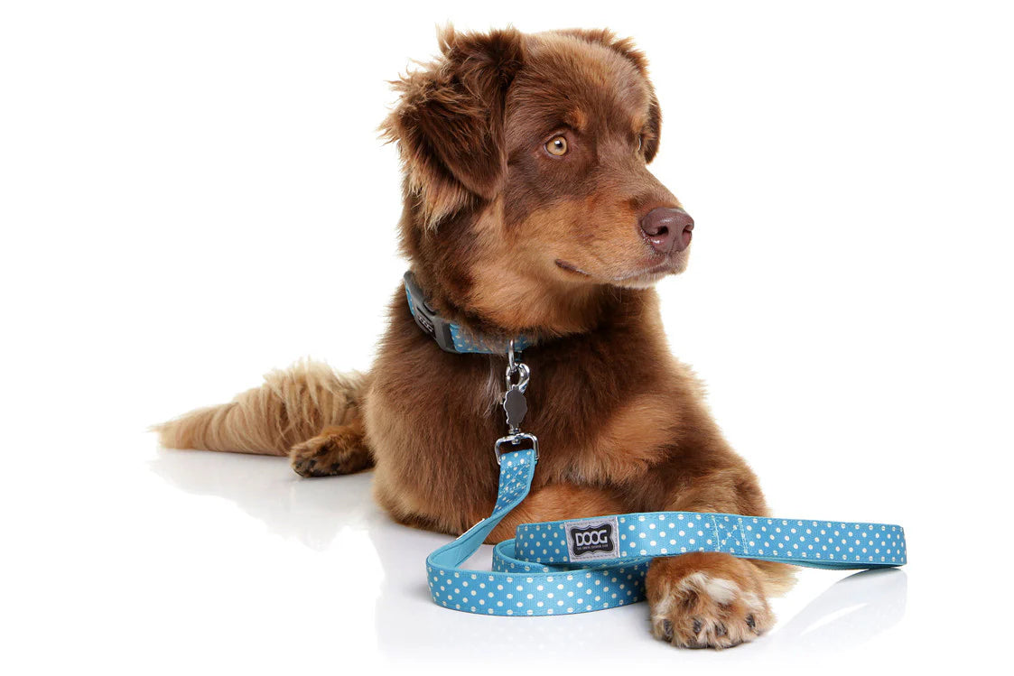 Doog Lead Snoopy XL