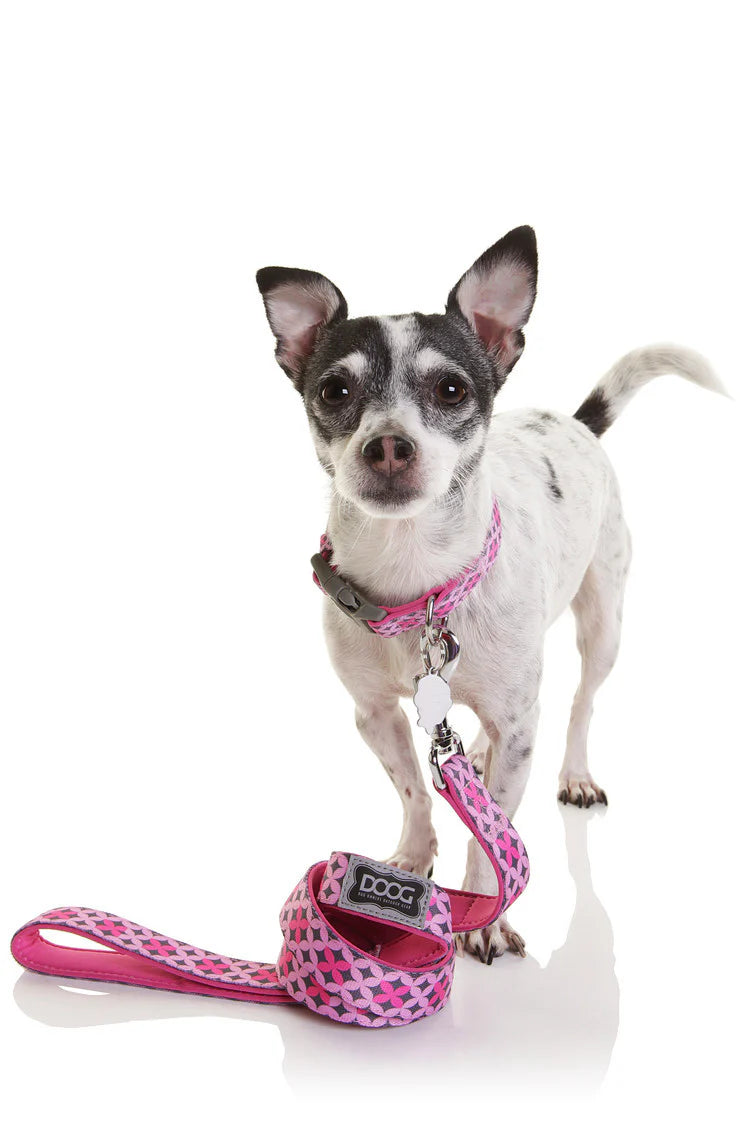 Doog Lead Toto XL