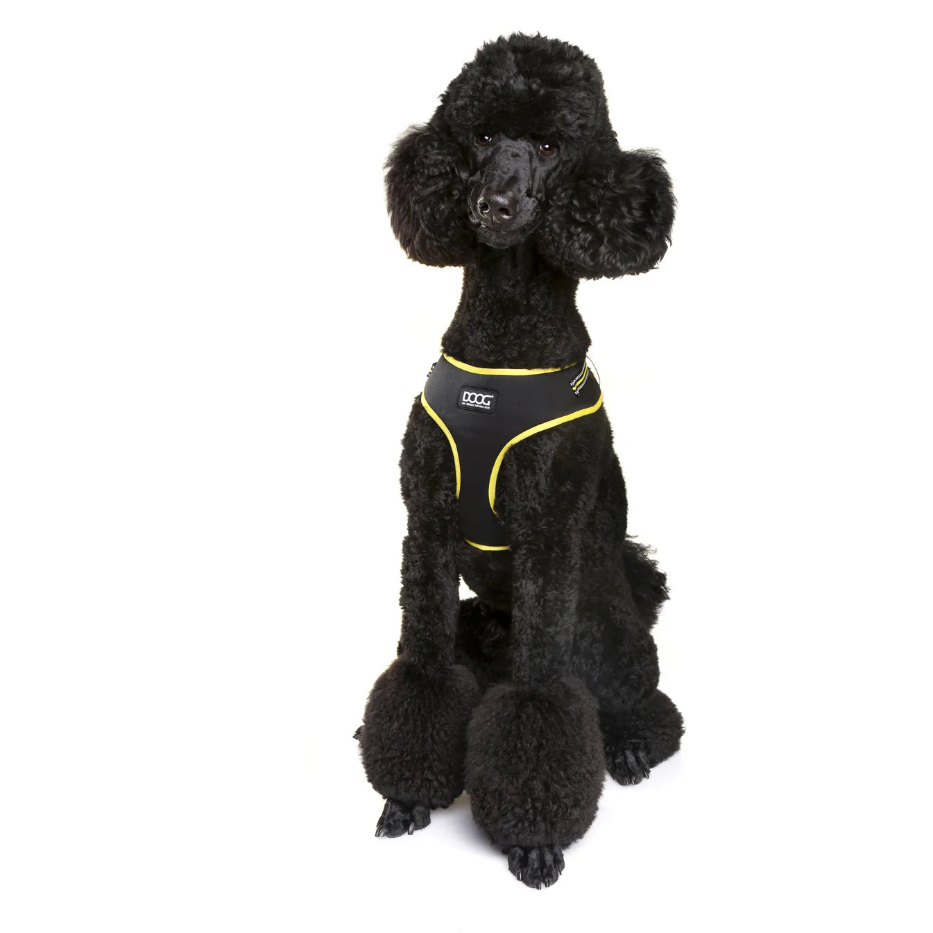 Doog Neoflex Harness Black Neon