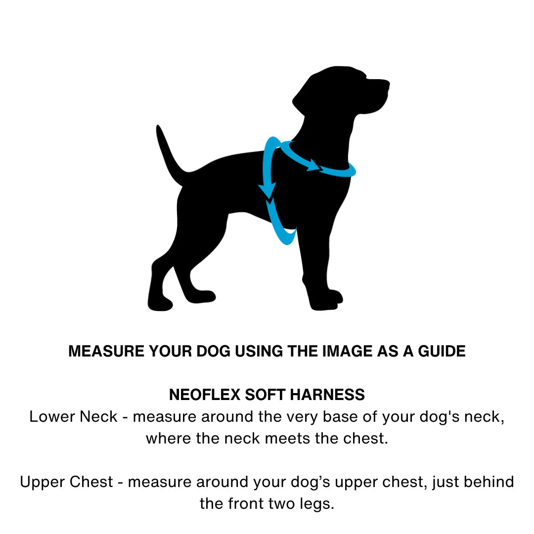 Doog Neoflex Harness Black Neon