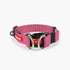 EzyDog Collar Double up