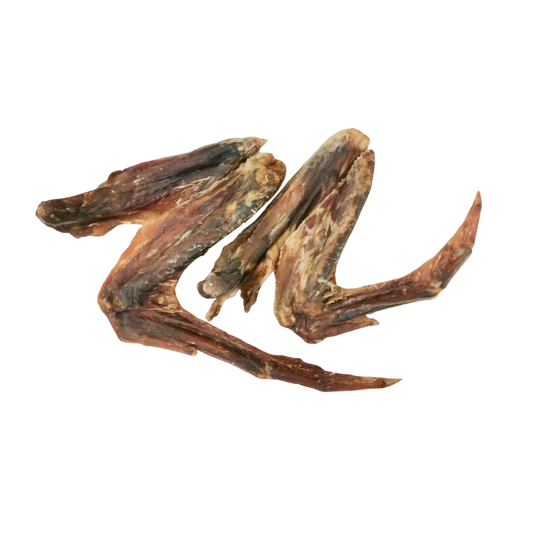 Duck Wings Single