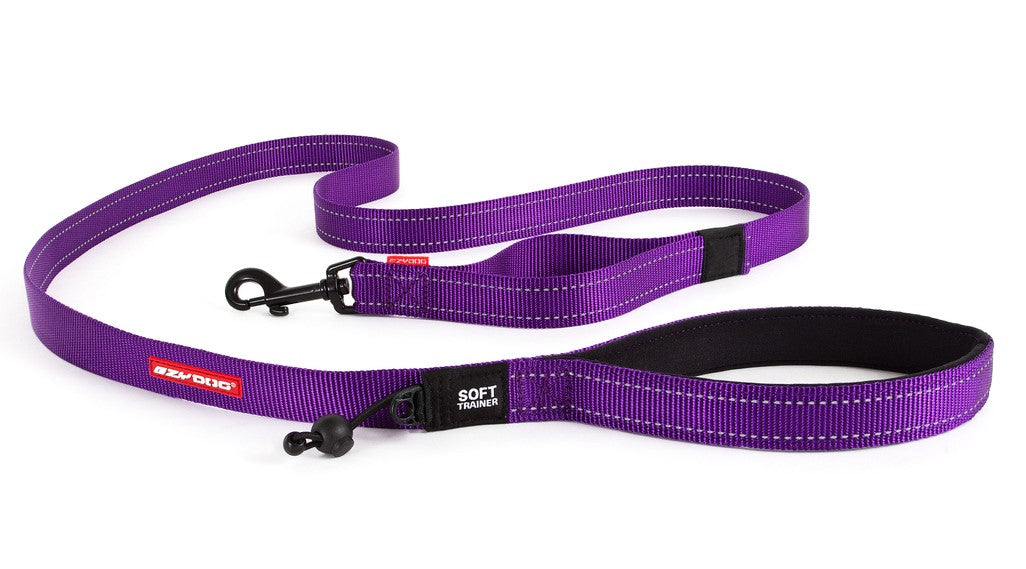 EzyDog Lead Trainer 25