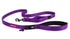 EzyDog Lead Trainer 25