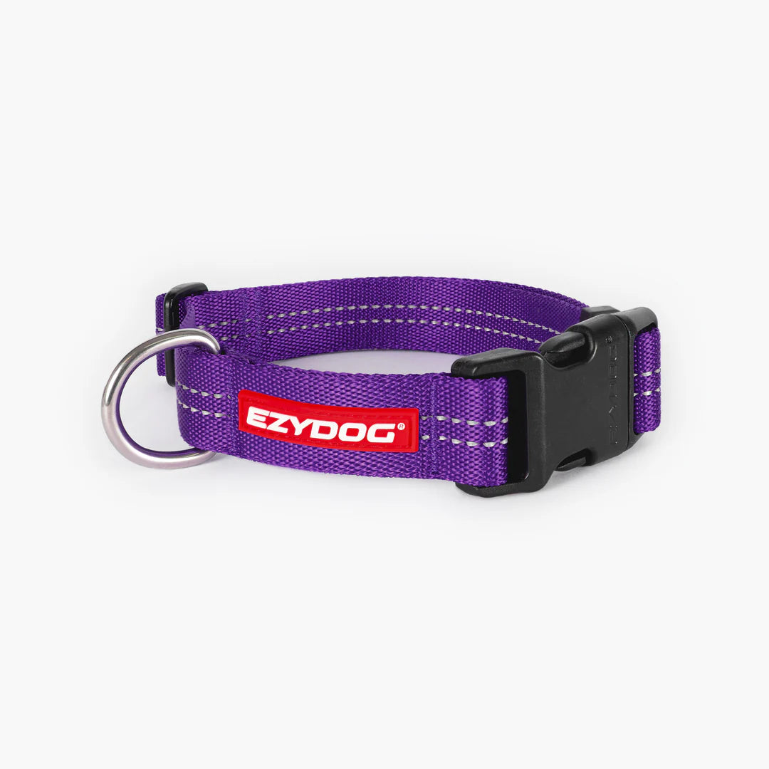 EzyDog Essential Adjustable Collar Purple