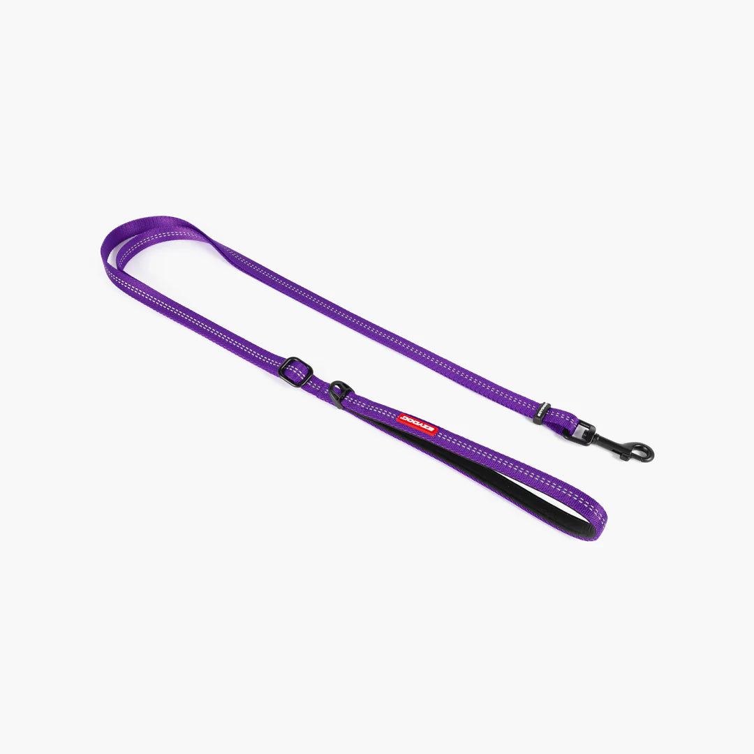 EzyDog Essential Adjustable Purple