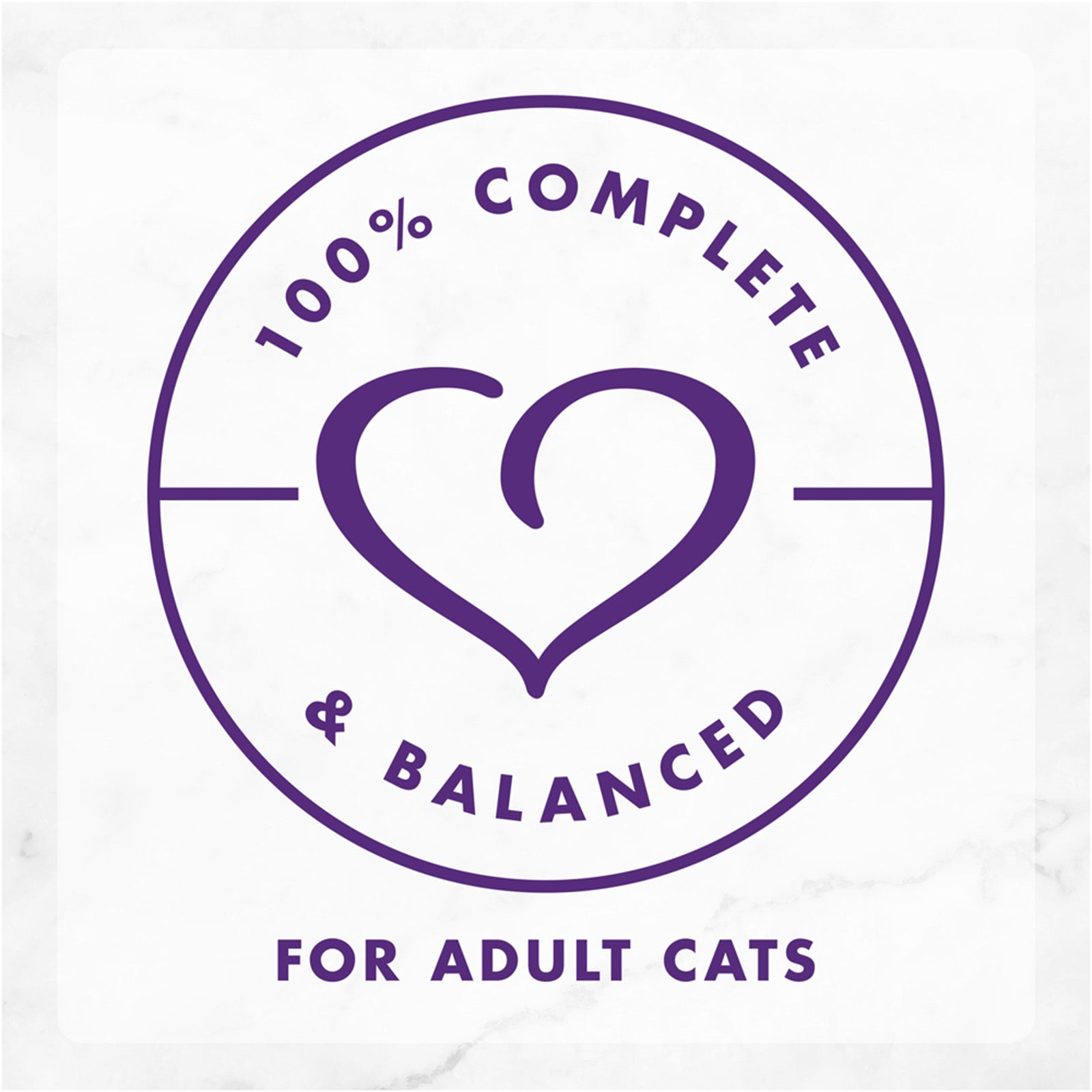 Fancy Feast 85g Cheddar Turkey