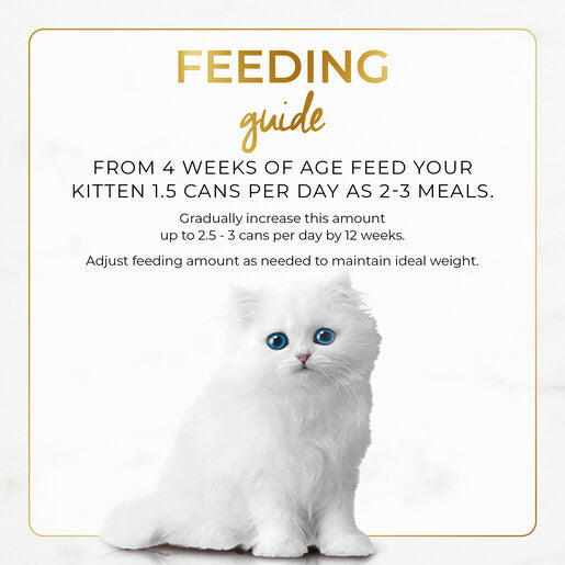 Fancy Feast 85g Classic Kitten Chicken