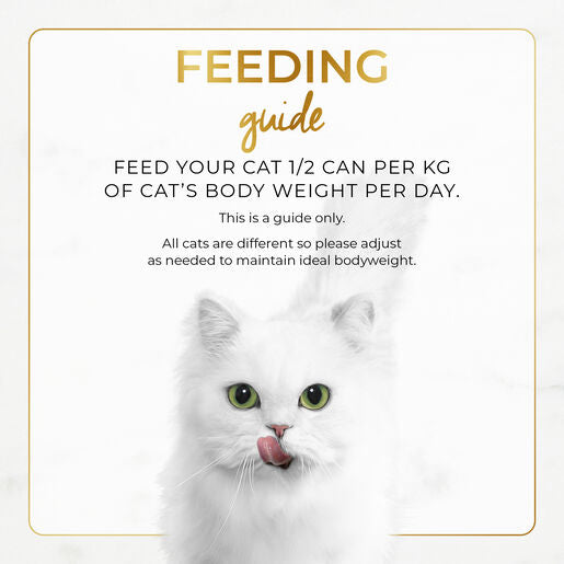 Fancy Feast 85g Classic Salmon Pate