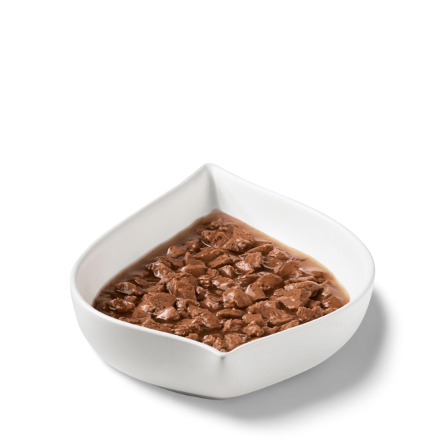 Fancy Feast 85g Gravy Lovers Beef