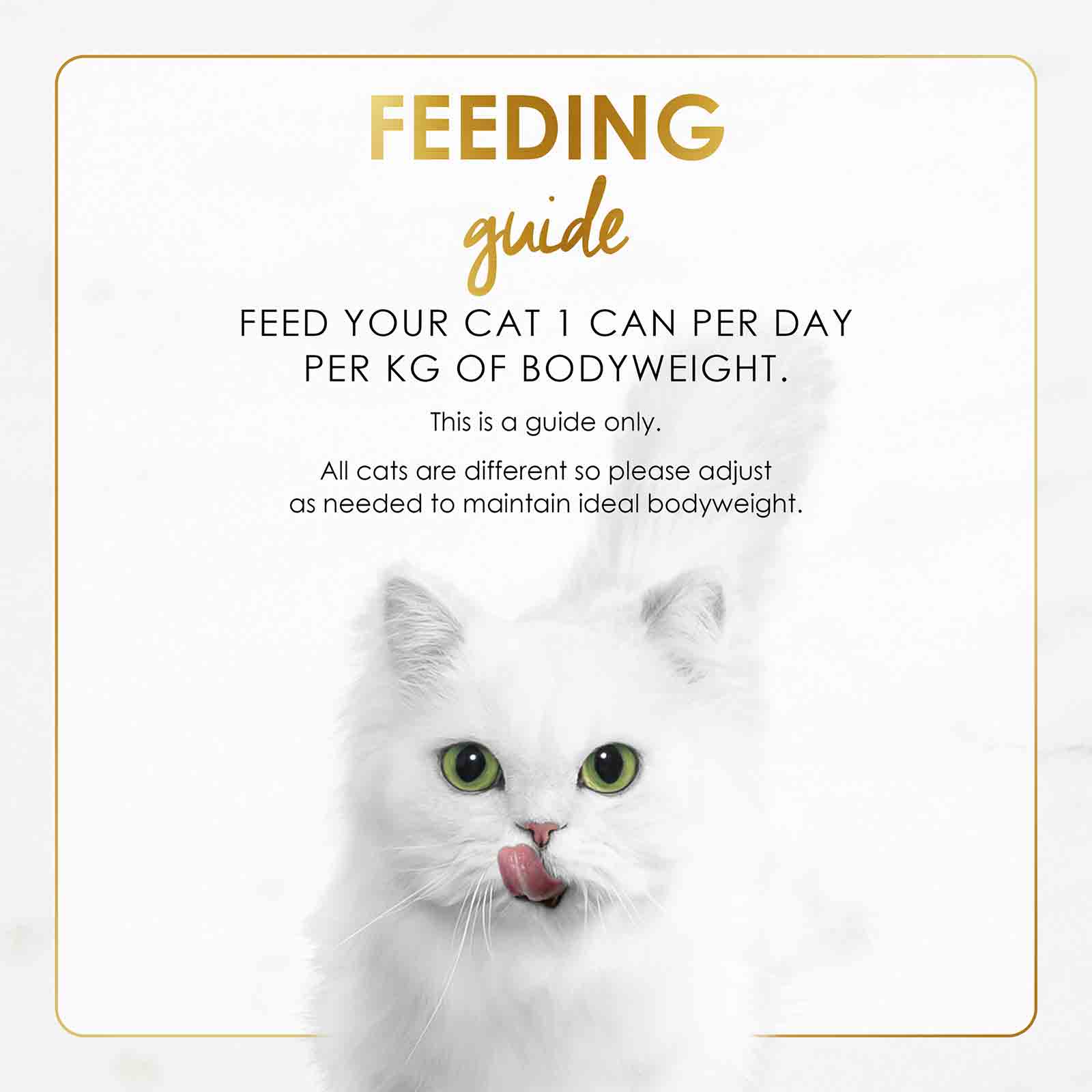 Fancy Feast 85g Gravy Lover Chicken