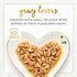 Fancy Feast 85g Gravy Lovers Salmon