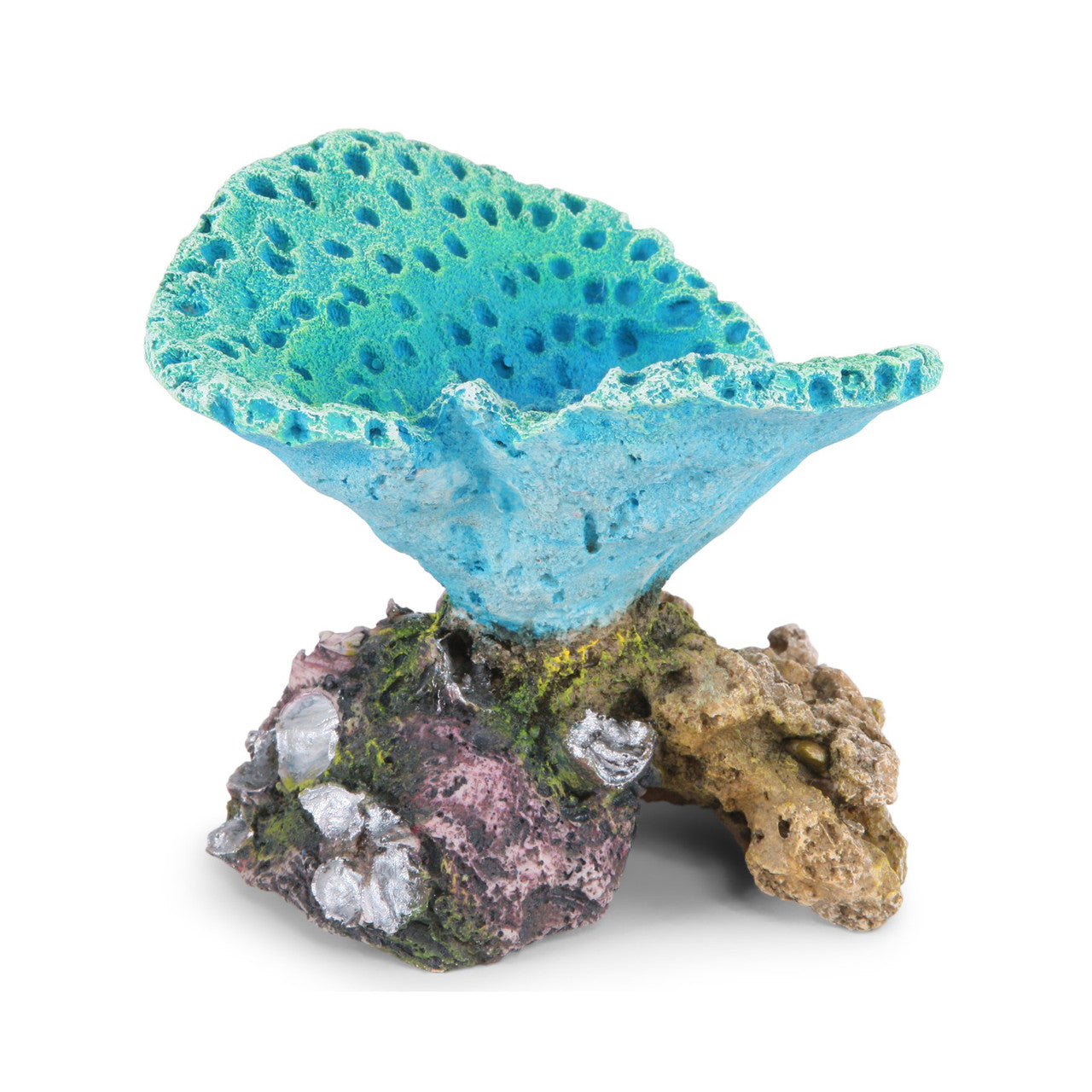 Fluro Foliase Coral Cup Blue
