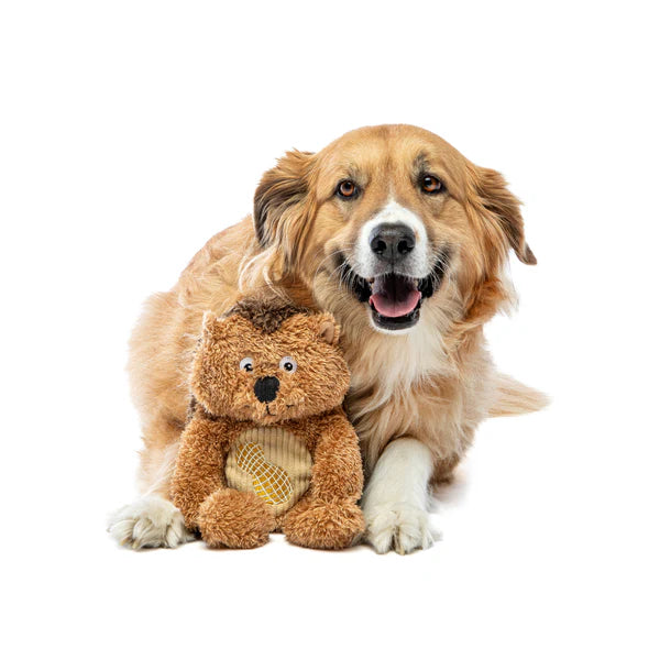 Guru Soft Scents Hedgehog - Peanut Medium
